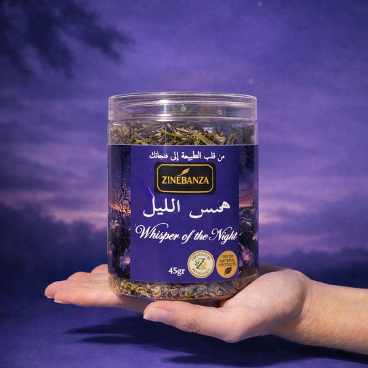 ZINÉBANZA Whisper of the Night همس الليل