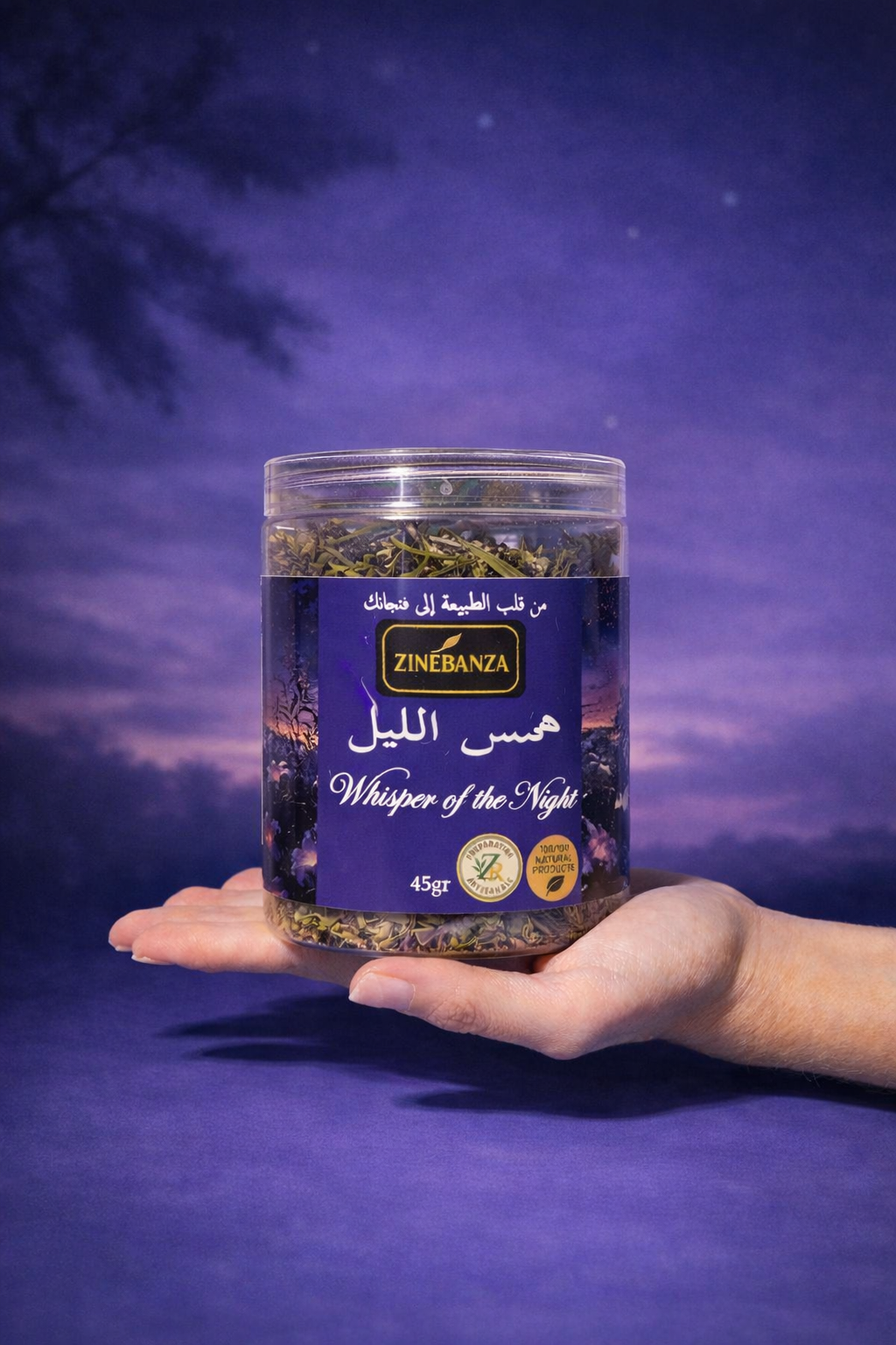 ZINÉBANZA Whisper of the Night همس الليل