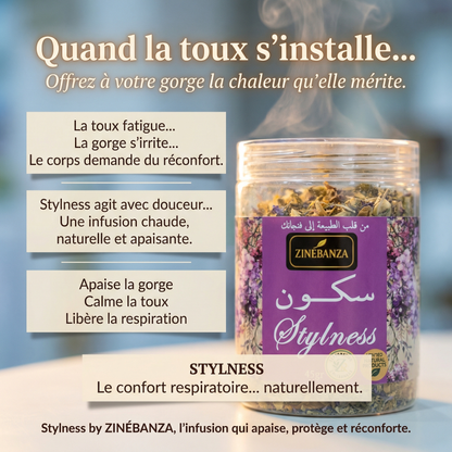 ZINÉBANZA  Stylness  سكون